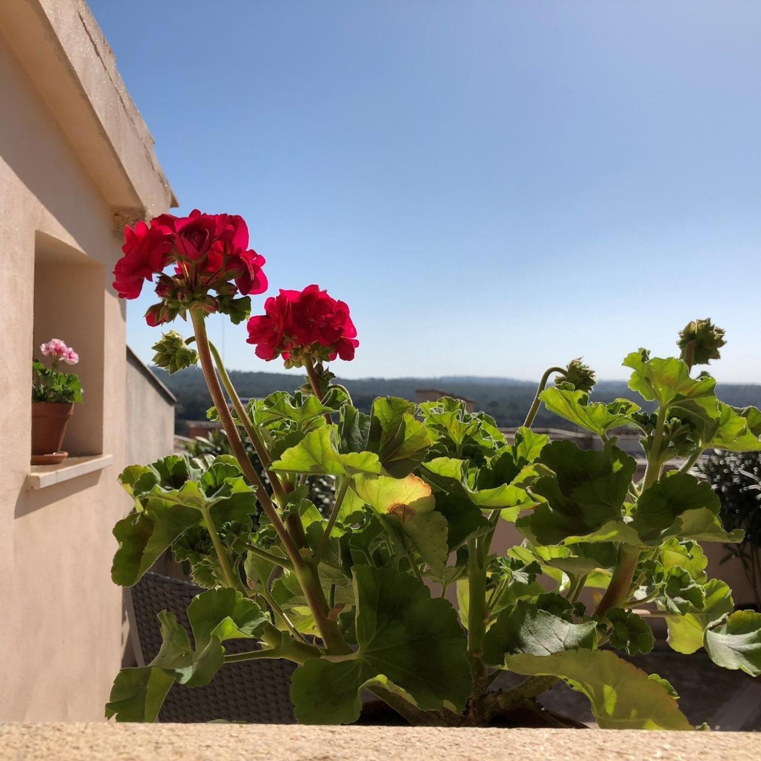 Vista De La Vila - Turismo De Interior. Llubí Rom bilde